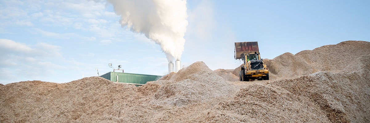 sustainability sanelco wood